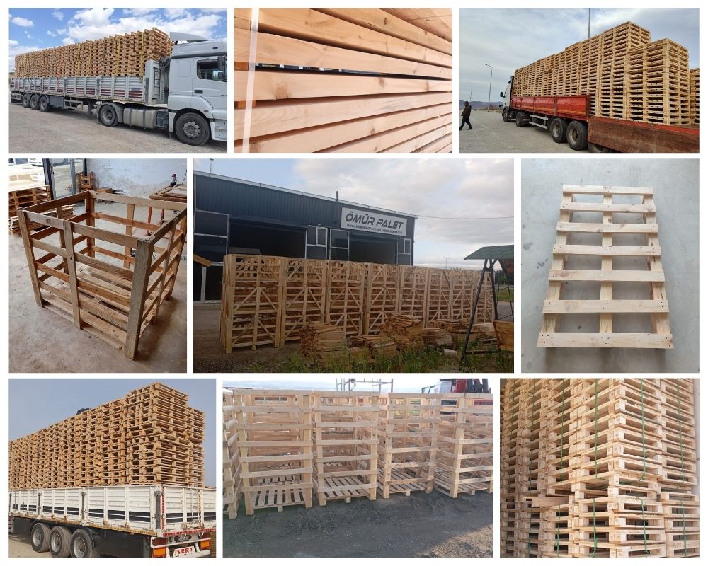 Edam Houten Kisten, Europallets Groothandel Kopen
